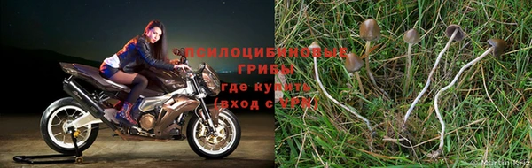 скорость mdpv Белокуриха